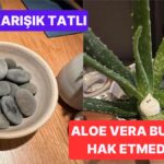 Yeni Gelinleri Şaşırtan Restoran Sunumları! 🍽️