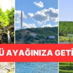 Kurban Bayramı İstanbul’da Geçirecekler İçin Öneriler