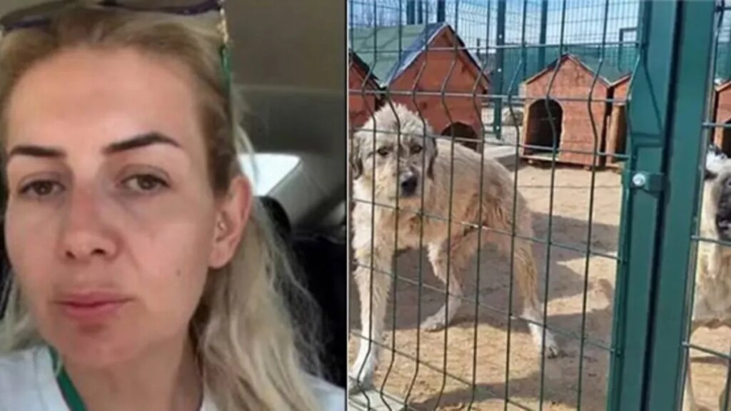 Kuduz Köpekleri Kaçırmıştı! 4 Yıla Kadar Hapis Cezası İsteniyor