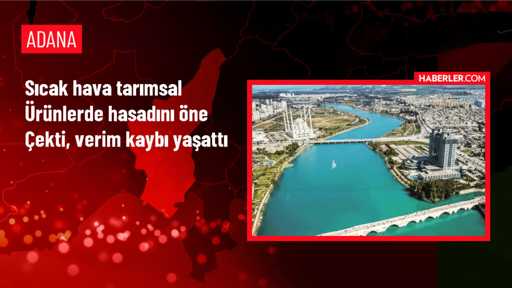 Adana’da Sıcak Hava Tarımsal Ürünleri Olumsuz Etkiledi