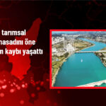 Adana’da Sıcak Hava Tarımsal Ürünleri Olumsuz Etkiledi