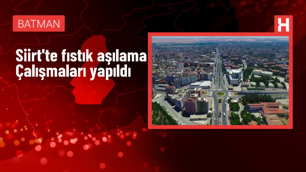 Siirt’te Fıstık Aşılama Çalışmaları