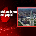 Siirt’te Fıstık Aşılama Çalışmaları
