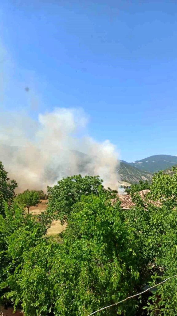 Sinop’ta Tarım Arazisinde Yangın!