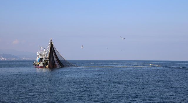 Giresun’da Yeni Av Yasakları Başladı