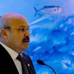 İstavrit Balıklarının Yasal Boyutları Altında!