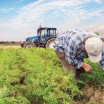 Tarım Küçülüyor: 2023’teki Durumu İncele!