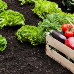 Tarım ÜFE Aralık 2023: Yüzde 6,34 Artış!