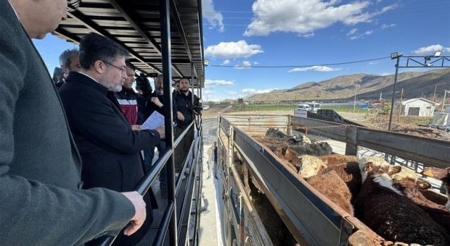 24/7 Hayvan Hareketleri İçin Yeni İstasyonlar açıldı!