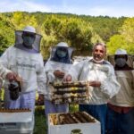 Arılar ve Doğanın Koruyucusu Olarak Dünya Arı Günü!