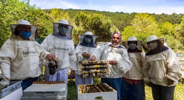 Arılar ve Doğanın Koruyucusu Olarak Dünya Arı Günü!
