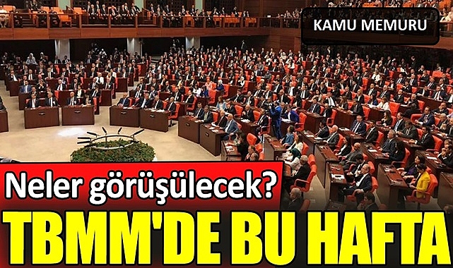 TBMM’de Bu Hafta Neler Görüşülecek?
