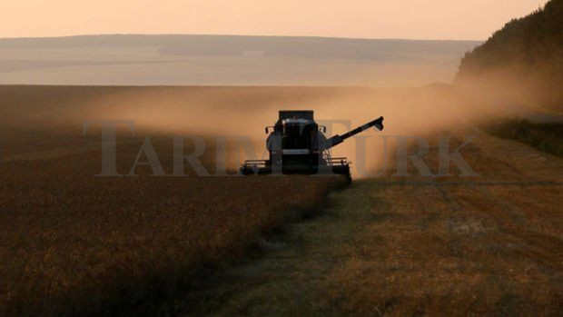 TMO’dan Konya’da Hububat Alımı Devam Ediyor