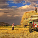 TÜİK Genel Tarım Sayımı Başladı