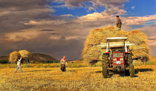 TÜİK Genel Tarım Sayımı Başladı