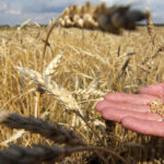 TÜRİB 2022 Yılında Hacmini 3,6 Kat Artırdı