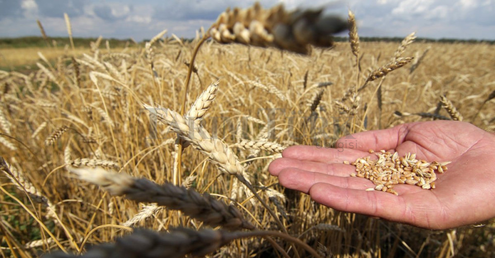 TÜRİB 2022 Yılında Hacmini 3,6 Kat Artırdı