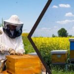 Türkiye Arıcılık Haritası 2023 Verileriyle Güncellendi!