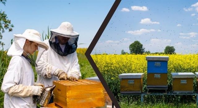 Türkiye Arıcılık Haritası 2023 Verileriyle Güncellendi!