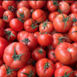 Türkiye’nin Domates İhracatı 2023’te Rekor Kırdı!