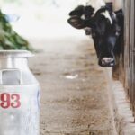 TÜSEDAD Mart Ayı Çiğ Süt Maliyetini Açıkladı