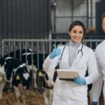 “Veteriner Hekimlerin Önemi üzerine Başkan Ödül’den Açıklama”