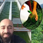 Ziraat Mühendisi Volkan Akın’dan Mikrobiyal Gübre Başarısı