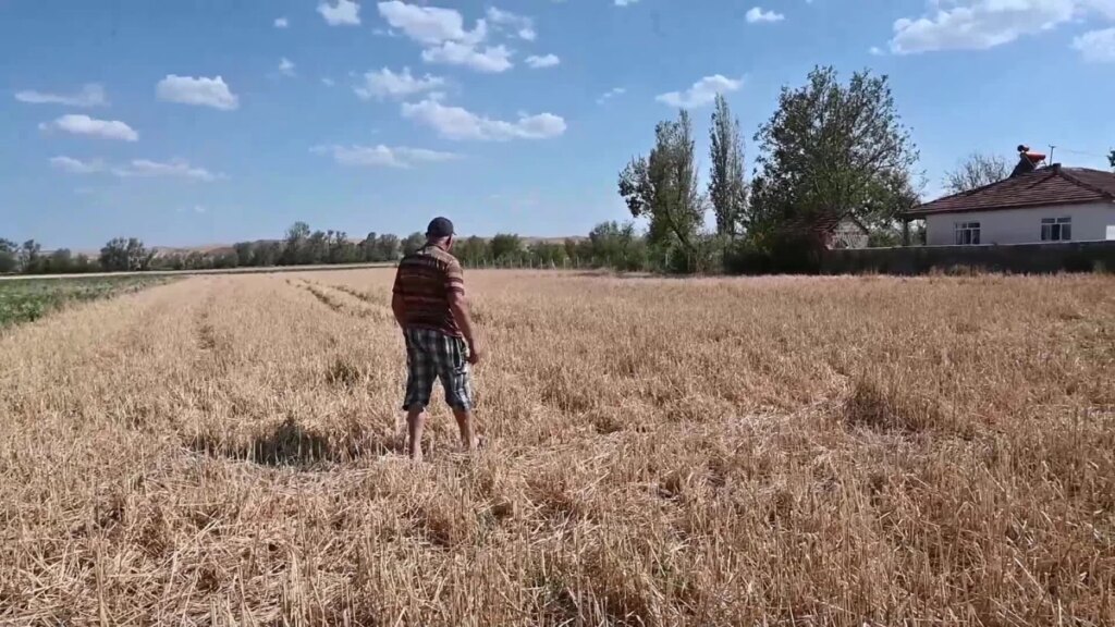 Yozgat’ta çiftçilerin zararı karşılanmıyor