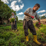 Yİ-ÜFE Yıllık %47,29 Arttı, Aylık %3,74 Artış!