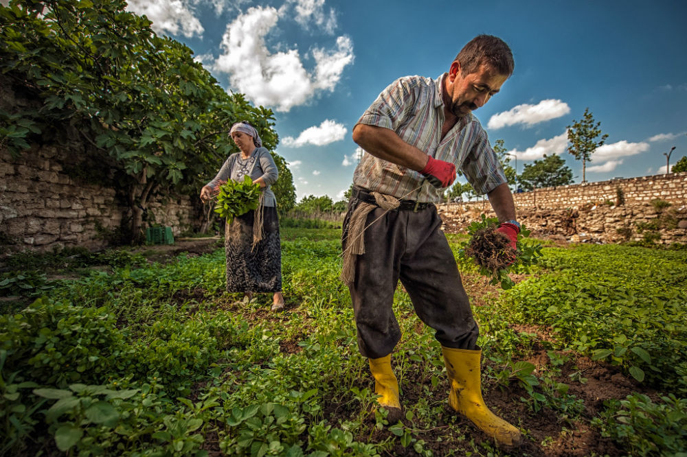 Yİ-ÜFE Yıllık %47,29 Arttı, Aylık %3,74 Artış!