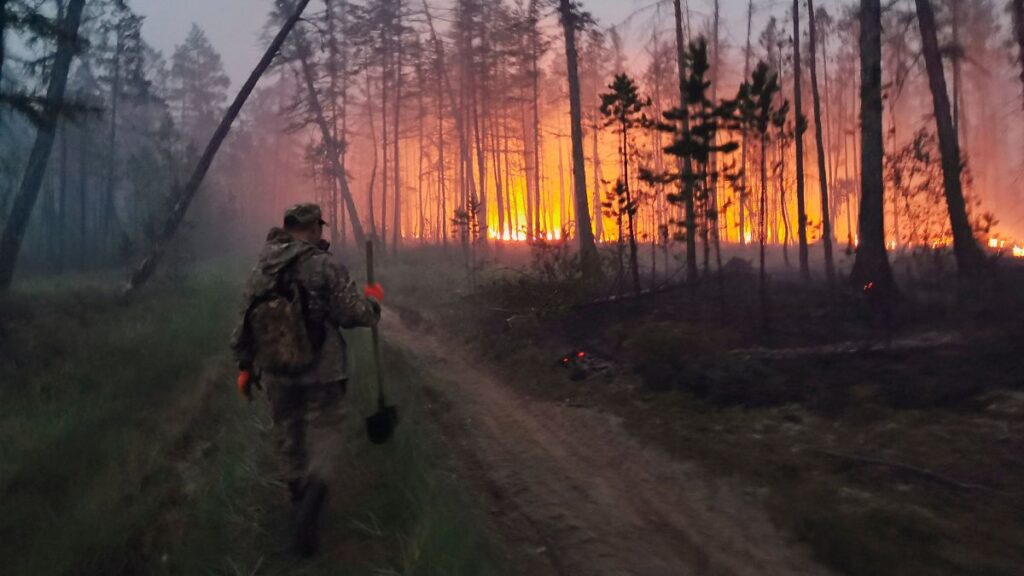 Arctic Wildfires: Kuzey Kutbu’nda Megatonlarca Karbon Salınıyor