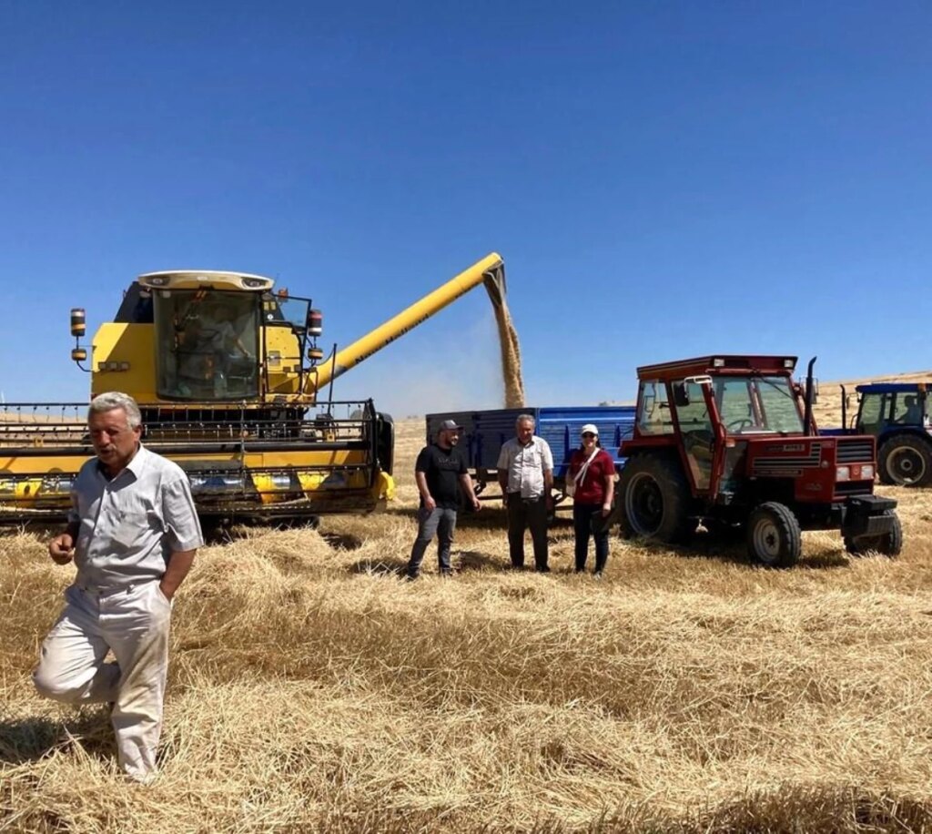 Afyon’da Hububat İsrafına Karşı Denetim!