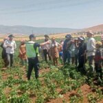 Gaziantep’te Tarım İşçilerine Trafik Eğitimi