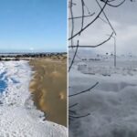 Arjantin Kıyılarında Dalgalar Dondu!