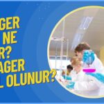 Kimyagerlik ve Maddelerin Etkileşimi