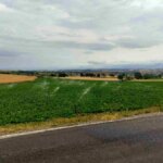 Samsun’un Ladik İlçesinde Sulama Hattı Sorunu Çözüldü!