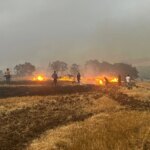 Aksaray’da Tarlada Çıkan Yangın Söndürüldü