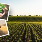 Bakan Yumaklı’dan Çiftçilere Müjde: 1.8 milyar TL Destek Ödemesi