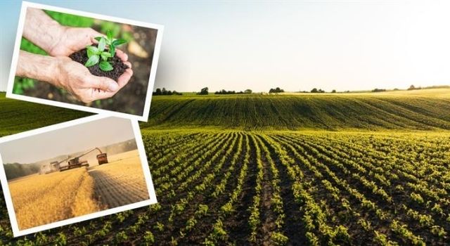 Bakan Yumaklı’dan Çiftçilere Müjde: 1.8 milyar TL Destek Ödemesi