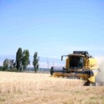 Battalgazi Ziraat Okulu Buğday Hasadında!