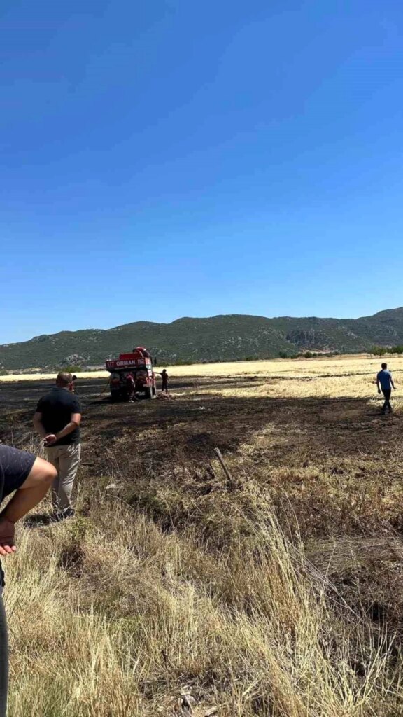 Burdur’da Biçerdöver Yangını: 1 Dekar Arazisi Yanarak Kül Oldu!