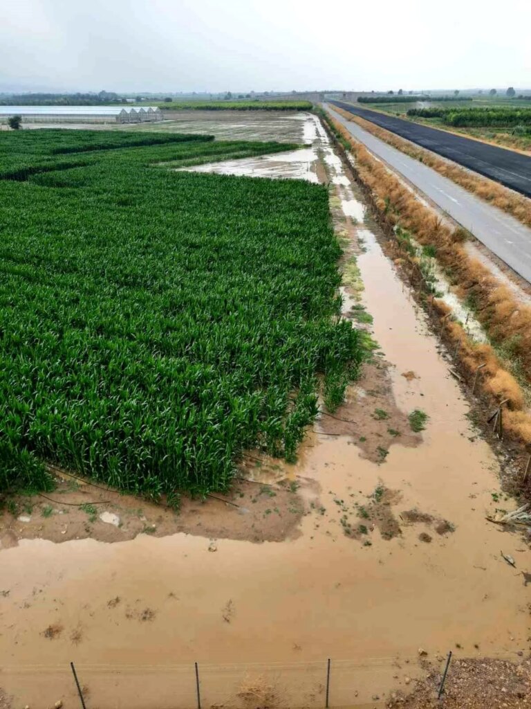 Bursa Ovasında Tarım Felaketi: Binlerce Dönüm Zarar Gördü