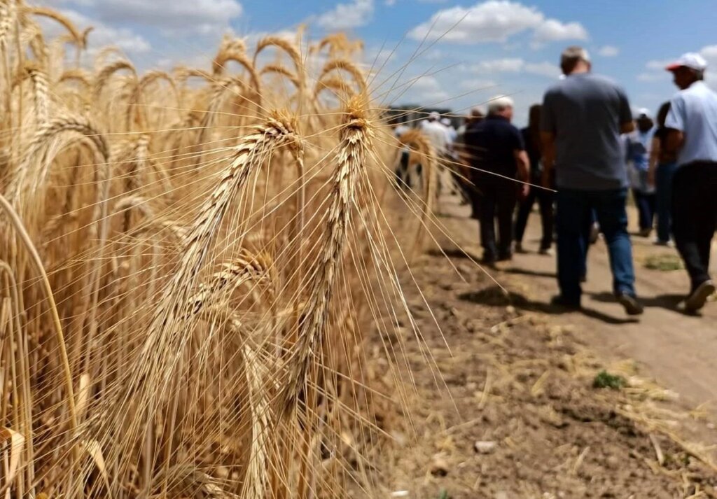 Trakya’da İlginç Tarım Projesi: Çeşidin Doğru Verimin Bol Olsun