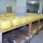 Muş Eski Kaşarı: Türkiye’nin Gözdesi!