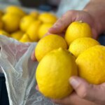 Domates Fiyatları Düştü, Limon Fiyatları Yükseldi