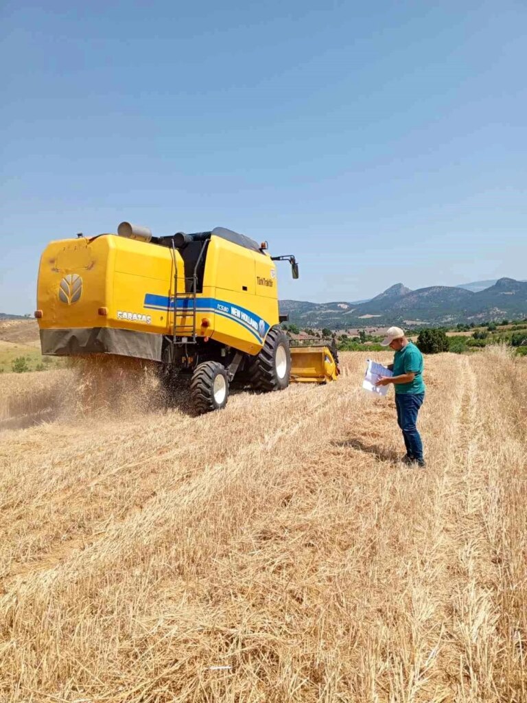 Bilecik’te Hububat Hasadı Başladı: Biçerdöver Kontrolleri Devam Ediyor