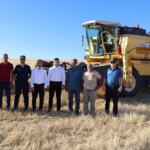 Keban Kaymakamı Buğday Hasadına Katıldı