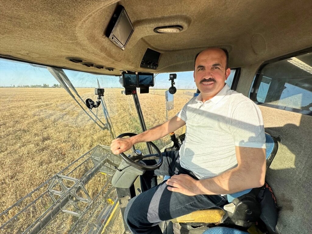 Konya’da Saraçoğlu Kampüsünde Buğday Hasadı