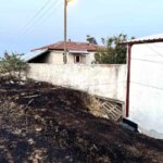 Kastamonu’da 25 Dönümlük Tarlada Yangın: Arpalar Zarar Gördü