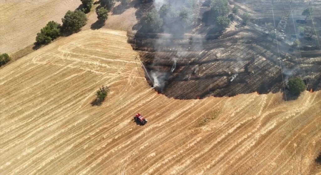 Gediz’de Tarla Yangını! Ekipler Son Anda Müdahale Etti